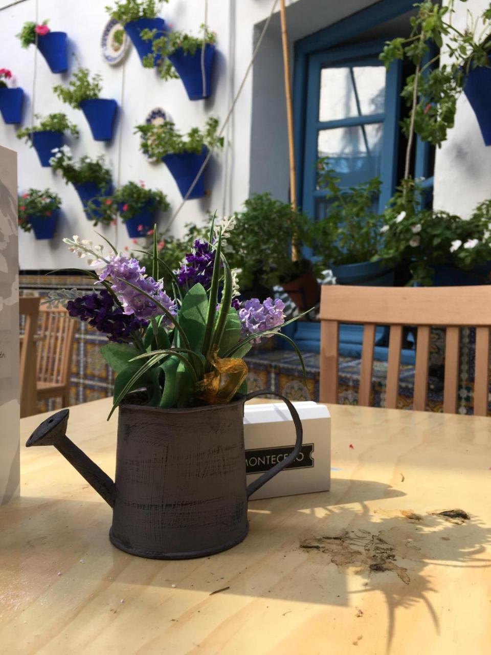 Seneca Hostel 科爾多瓦 外观 照片