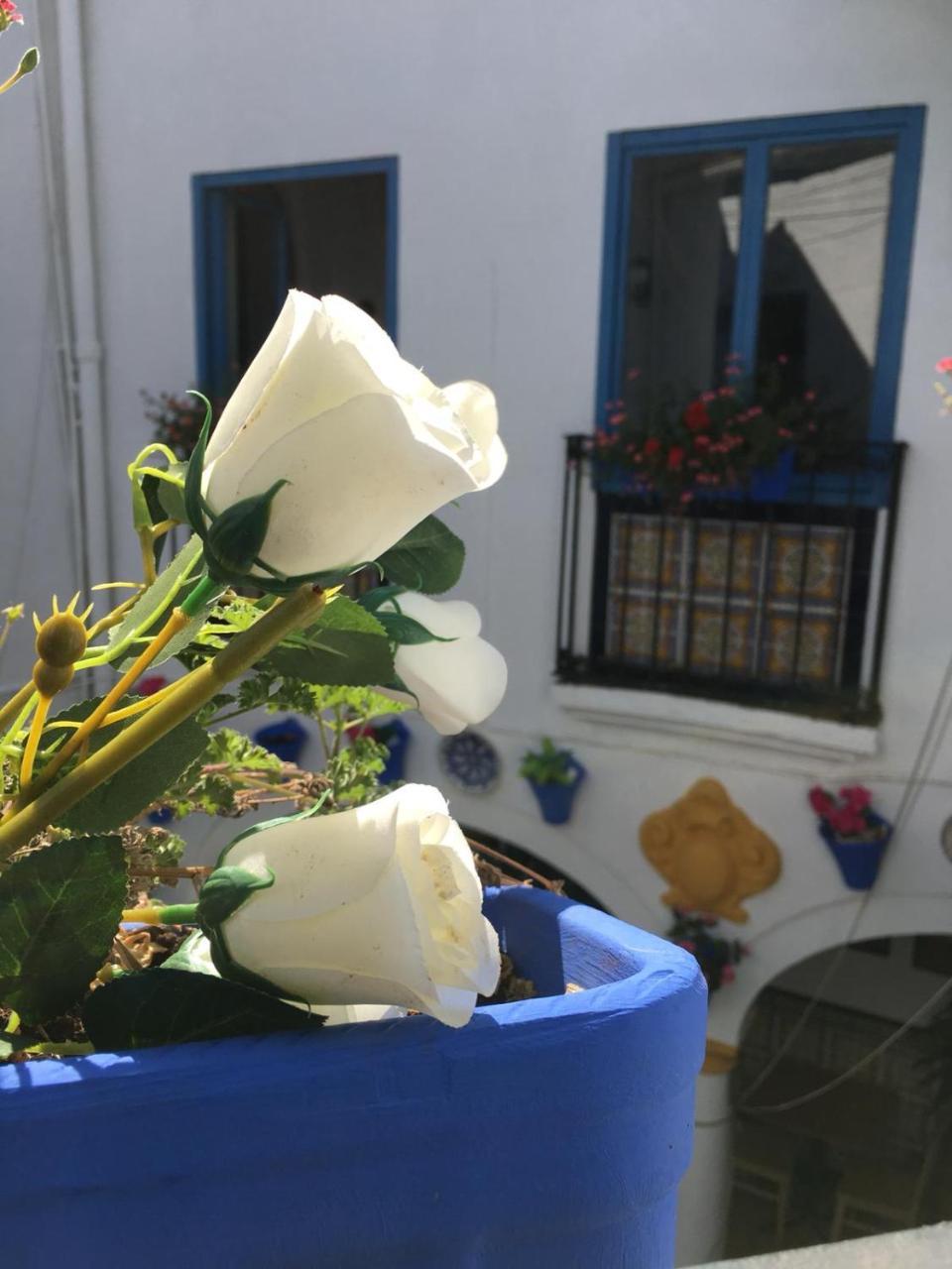 Seneca Hostel 科爾多瓦 外观 照片