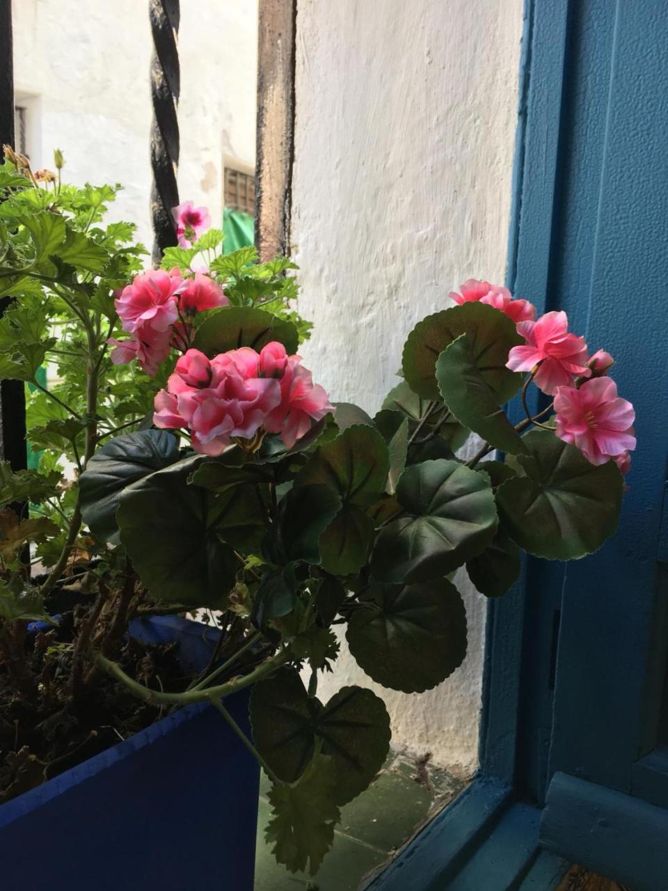 Seneca Hostel 科爾多瓦 外观 照片