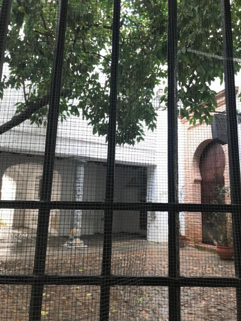 Seneca Hostel 科爾多瓦 外观 照片