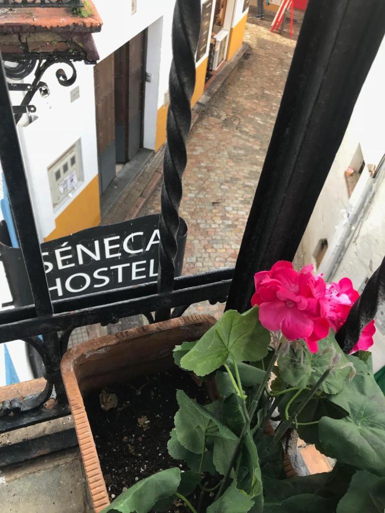 Seneca Hostel 科爾多瓦 外观 照片